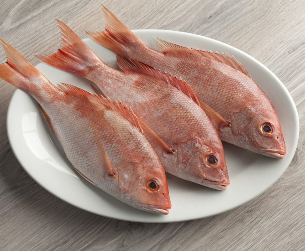 Red Snapper gutted